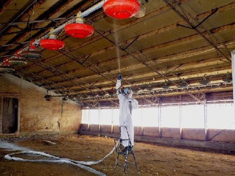 Agricultural building steel protected against corrosion